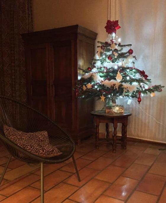 Grande Maison Familiale En Pierres Sud Ardeche Lalevade-dʼArdèche Eksteriør bilde