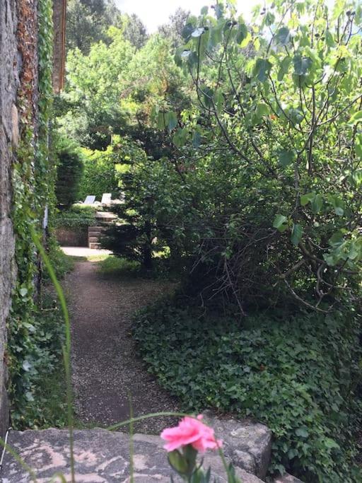 Grande Maison Familiale En Pierres Sud Ardeche Lalevade-dʼArdèche Eksteriør bilde
